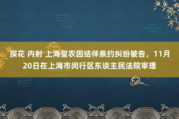 探花 内射 上海玺农因结伴条约纠纷被告,11月20日在上海市闵行区东谈主民法院审理