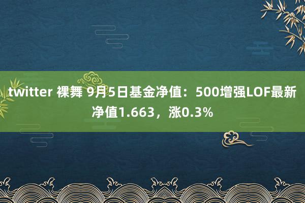 twitter 裸舞 9月5日基金净值:500增强LOF最新净值1.663,涨0.3%
