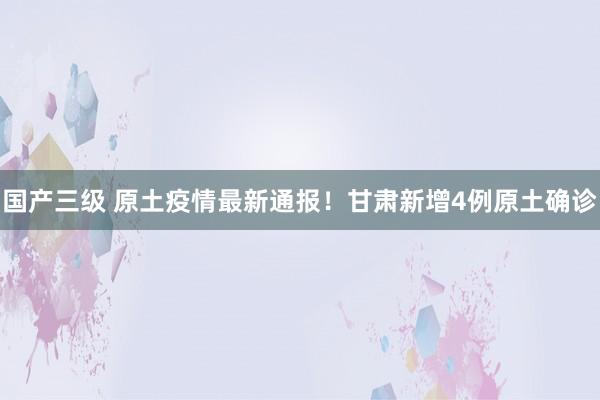 国产三级 原土疫情最新通报!甘肃新增4例原土确诊
