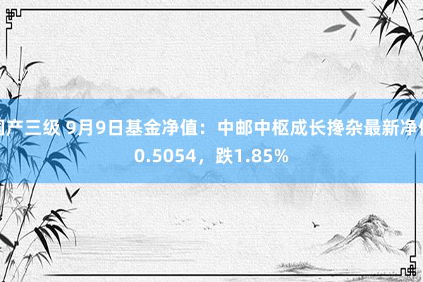 国产三级 9月9日基金净值：中邮中枢成长搀杂最新净值0.5054，跌1.85%