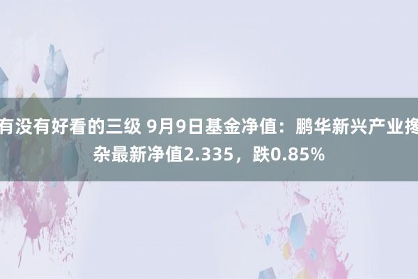 有没有好看的三级 9月9日基金净值:鹏华新兴产业搀杂最新净值2.335,跌0.85%