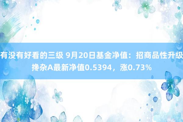 有没有好看的三级 9月20日基金净值:招商品性升级搀杂A最新净值0.5394,涨0.73%