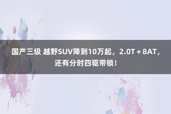 国产三级 越野SUV降到10万起,2.0T+8AT,还有分时四驱带锁!