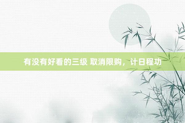 有没有好看的三级 取消限购,计日程功