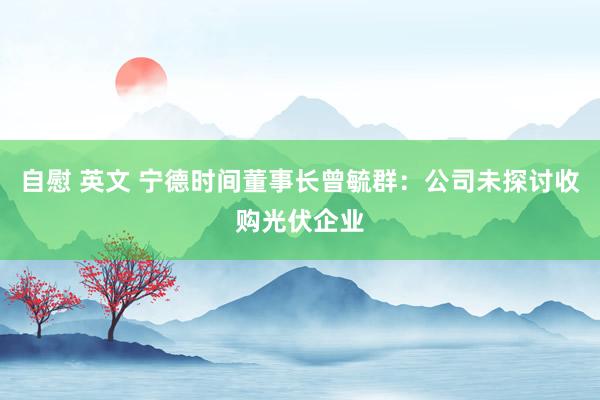 自慰 英文 宁德时间董事长曾毓群:公司未探讨收购光伏企业