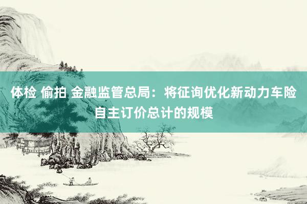 体检 偷拍 金融监管总局:将征询优化新动力车险自主订价总计的规模