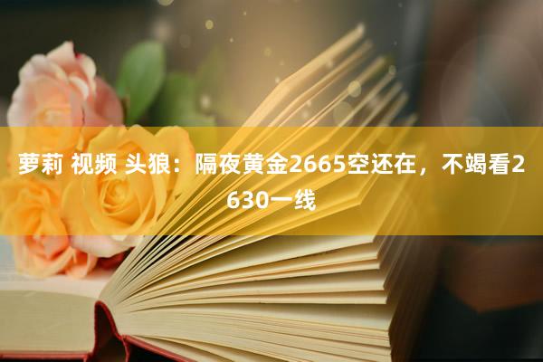 萝莉 视频 头狼:隔夜黄金2665空还在,不竭看2630一线