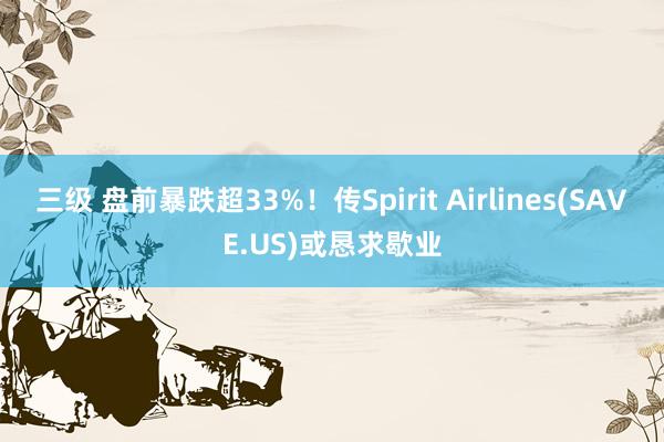 三级 盘前暴跌超33%!传Spirit Airlines(SAVE.US)或恳求歇业