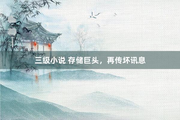三级小说 存储巨头,再传坏讯息