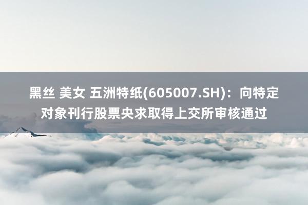 黑丝 美女 五洲特纸(605007.SH):向特定对象刊行股票央求取得上交所审核通过
