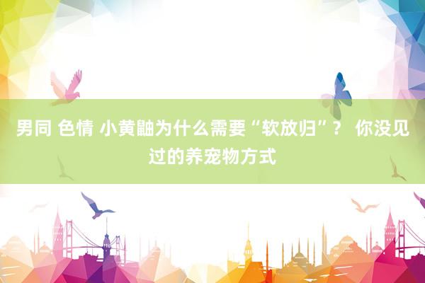 男同 色情 小黄鼬为什么需要“软放归”? 你没见过的养宠物方式