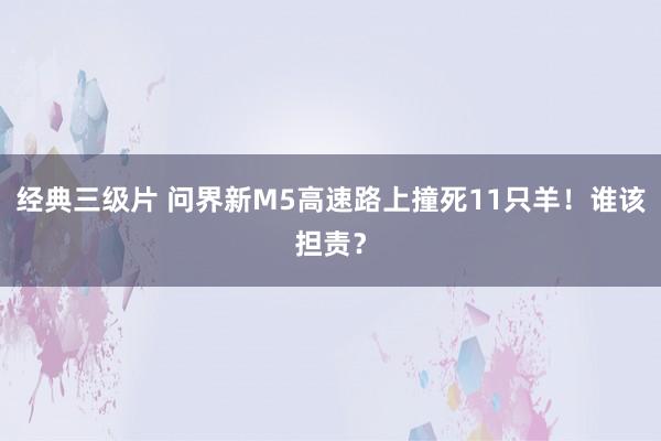 经典三级片 问界新M5高速路上撞死11只羊!谁该担责?