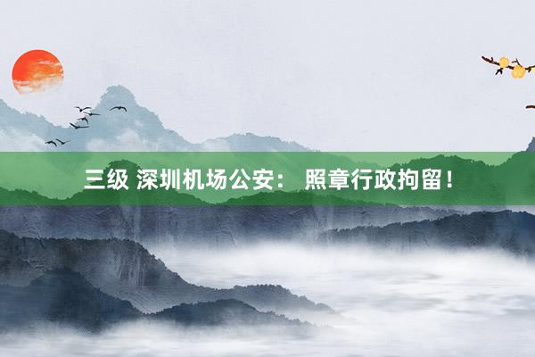 三级 深圳机场公安: 照章行政拘留!