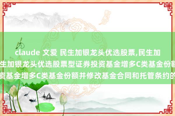 claude 文爱 民生加银龙头优选股票,民生加银龙头优选股票C: 对于民生加银龙头优选股票型证券投资基金增多C类基金份额并修改基金合同和托管条约的公告