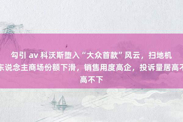 勾引 av 科沃斯堕入“大众首款”风云,扫地机器东说念主商场份额下滑,销售用度高企,投诉量居高不下