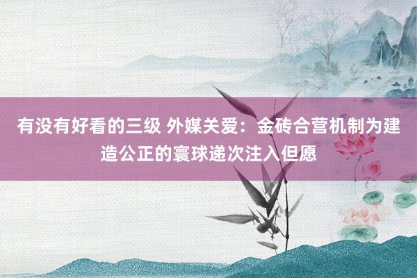 有没有好看的三级 外媒关爱:金砖合营机制为建造公正的寰球递次注入但愿