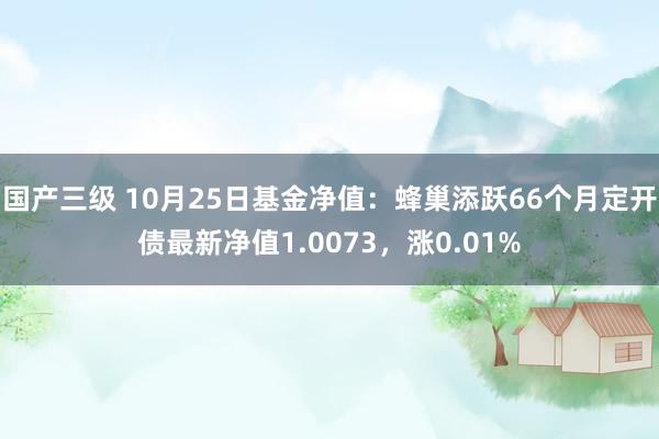 国产三级 10月25日基金净值:蜂巢添跃66个月定开债最新净值1.0073,涨0.01%