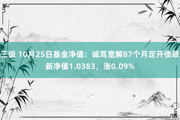 三级 10月25日基金净值:诚笃宽解87个月定开债最新净值1.0383,涨0.09%