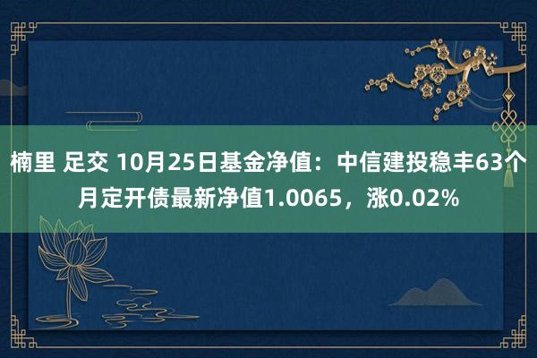 楠里 足交 10月25日基金净值:中信建投稳丰63个月定开债最新净值1.0065,涨0.02%