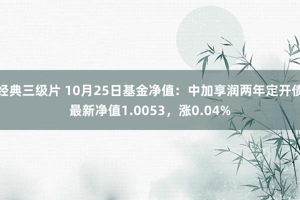 经典三级片 10月25日基金净值:中加享润两年定开债最新净值1.0053,涨0.04%