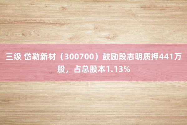 三级 岱勒新材(300700)鼓励段志明质押441万股,占总股本1.13%