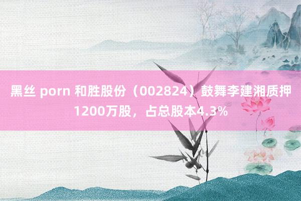 黑丝 porn 和胜股份(002824)鼓舞李建湘质押1200万股,占总股本4.3%