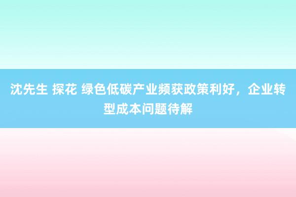 沈先生 探花 绿色低碳产业频获政策利好,企业转型成本问题待解