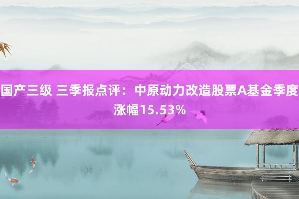 国产三级 三季报点评:中原动力改造股票A基金季度涨幅15.53%