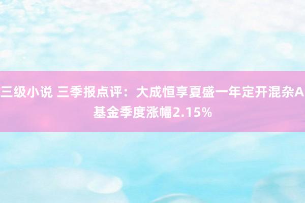 三级小说 三季报点评:大成恒享夏盛一年定开混杂A基金季度涨幅2.15%