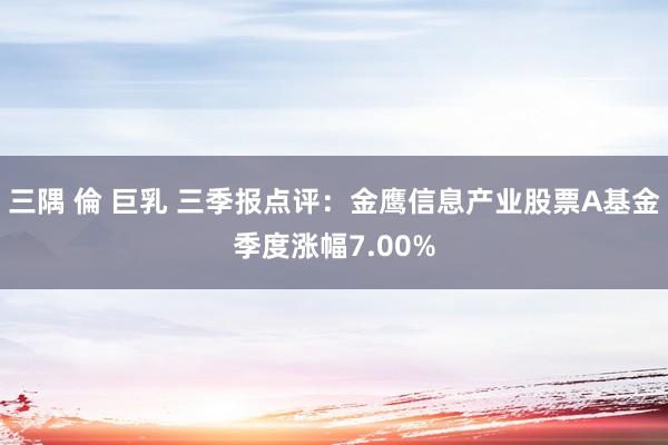三隅 倫 巨乳 三季报点评:金鹰信息产业股票A基金季度涨幅7.00%