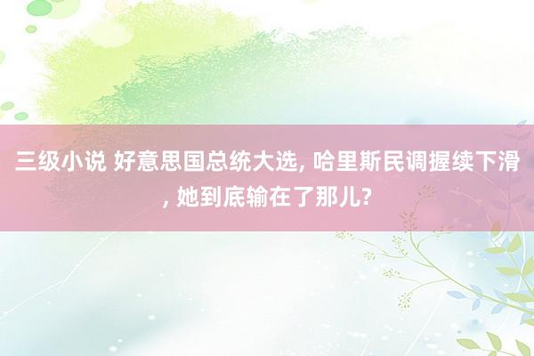 三级小说 好意思国总统大选, 哈里斯民调握续下滑, 她到底输在了那儿?