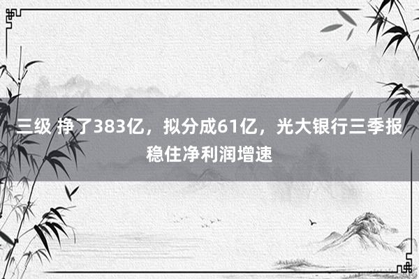 三级 挣了383亿,拟分成61亿,光大银行三季报稳住净利润增速