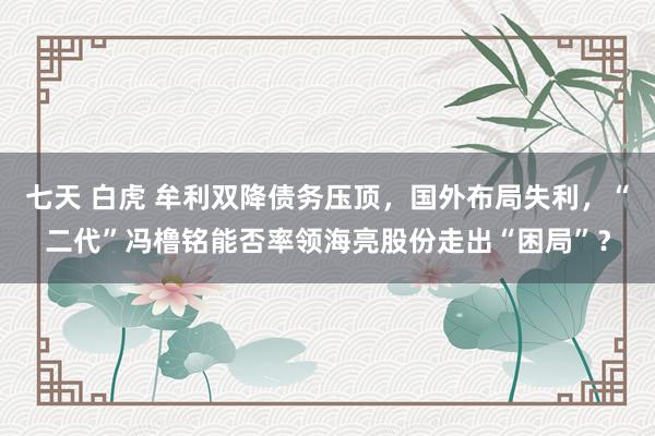 七天 白虎 牟利双降债务压顶,国外布局失利,“二代”冯橹铭能否率领海亮股份走出“困局”?