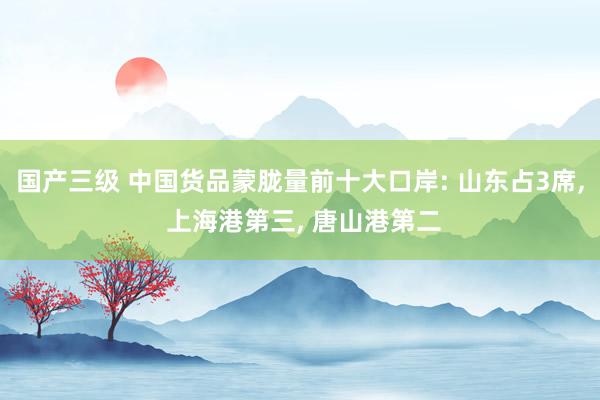国产三级 中国货品蒙胧量前十大口岸: 山东占3席, 上海港第三, 唐山港第二