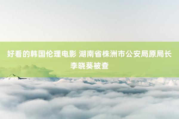 好看的韩国伦理电影 湖南省株洲市公安局原局长李晓葵被查