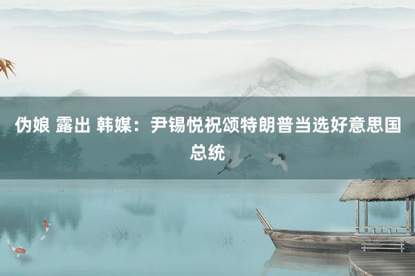 伪娘 露出 韩媒:尹锡悦祝颂特朗普当选好意思国总统