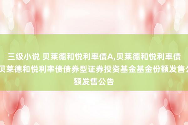 三级小说 贝莱德和悦利率债A,贝莱德和悦利率债C: 贝莱德和悦利率债债券型证券投资基金基金份额发售公告