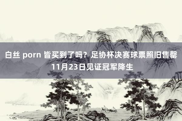 白丝 porn 皆买到了吗?足协杯决赛球票照旧售罄 11月23日见证冠军降生