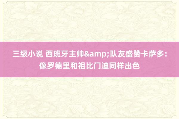 三级小说 西班牙主帅&队友盛赞卡萨多：像罗德里和祖比门迪同样出色