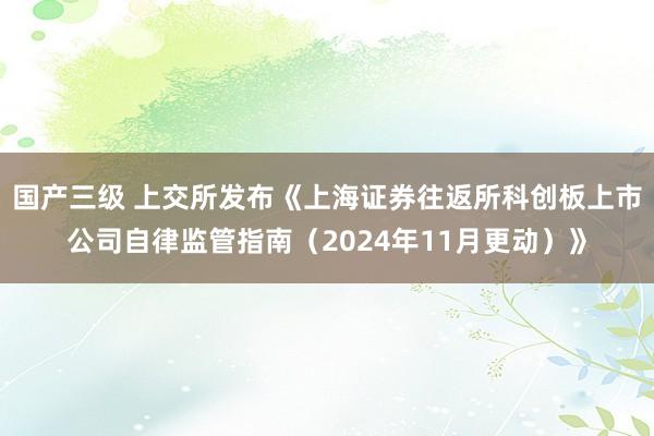 国产三级 上交所发布《上海证券往返所科创板上市公司自律监管指南(2024年11月更动)》