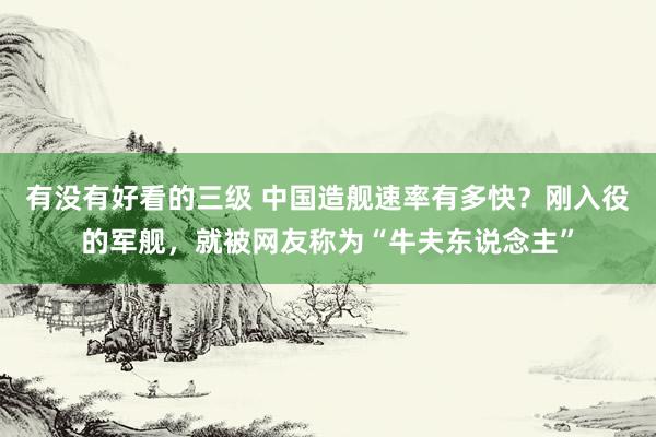 有没有好看的三级 中国造舰速率有多快?刚入役的军舰,就被网友称为“牛夫东说念主”