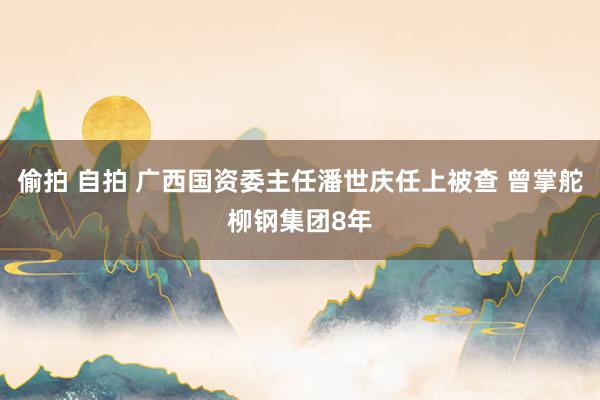 偷拍 自拍 广西国资委主任潘世庆任上被查 曾掌舵柳钢集团8年