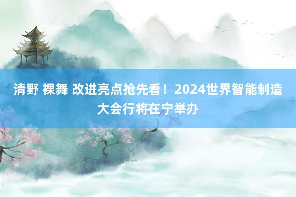 清野 裸舞 改进亮点抢先看!2024世界智能制造大会行将在宁举办