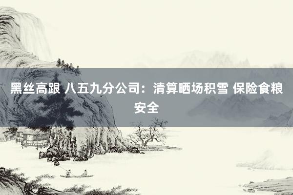 黑丝高跟 八五九分公司:清算晒场积雪 保险食粮安全