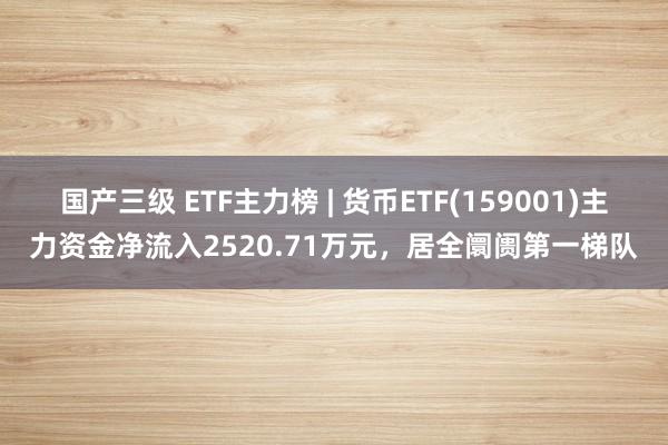 国产三级 ETF主力榜 | 货币ETF(159001)主力资金净流入2520.71万元,居全阛阓第一梯队