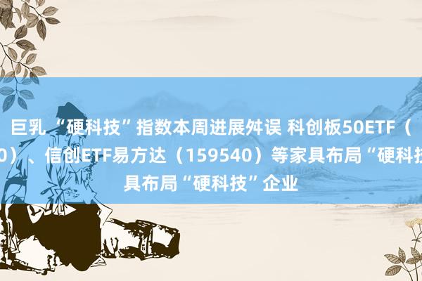 巨乳 “硬科技”指数本周进展舛误 科创板50ETF(588080)、信创ETF易方达(159540)等家具布局“硬科技”企业