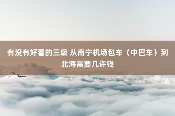 有没有好看的三级 从南宁机场包车(中巴车)到北海需要几许钱