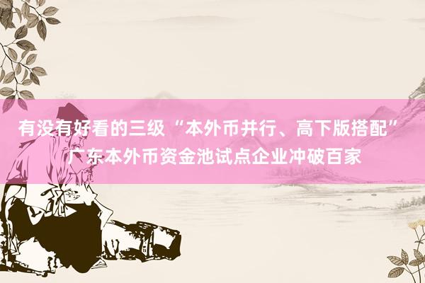 有没有好看的三级 “本外币并行、高下版搭配” 广东本外币资金池试点企业冲破百家