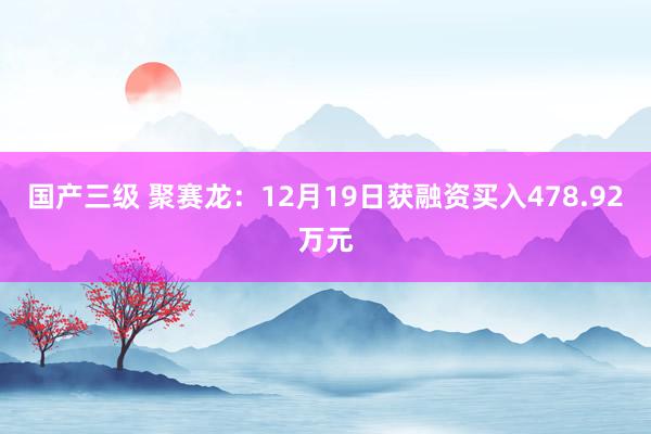 国产三级 聚赛龙:12月19日获融资买入478.92万元