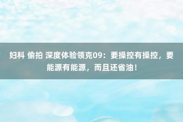 妇科 偷拍 深度体验领克09:要操控有操控,要能源有能源,而且还省油!